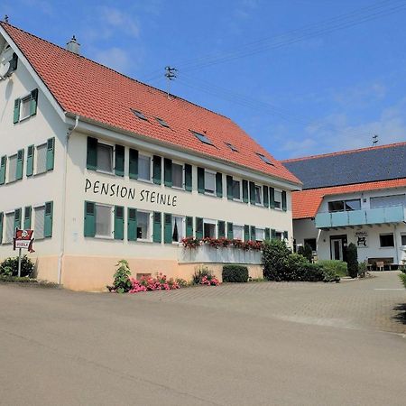 Pension Steinle Erbach an der Danau Buitenkant foto