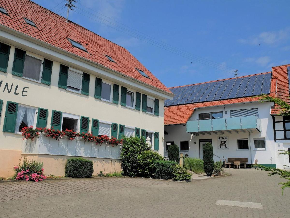 Pension Steinle Erbach an der Danau Buitenkant foto