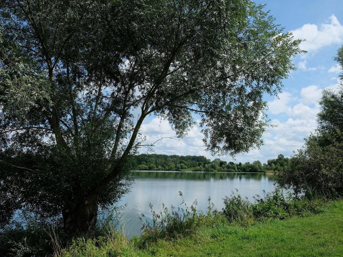 Pension Steinle Erbach an der Danau Buitenkant foto